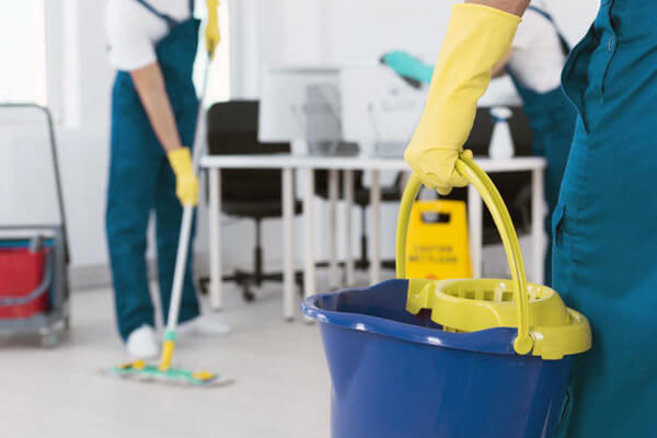 professional cleaning services